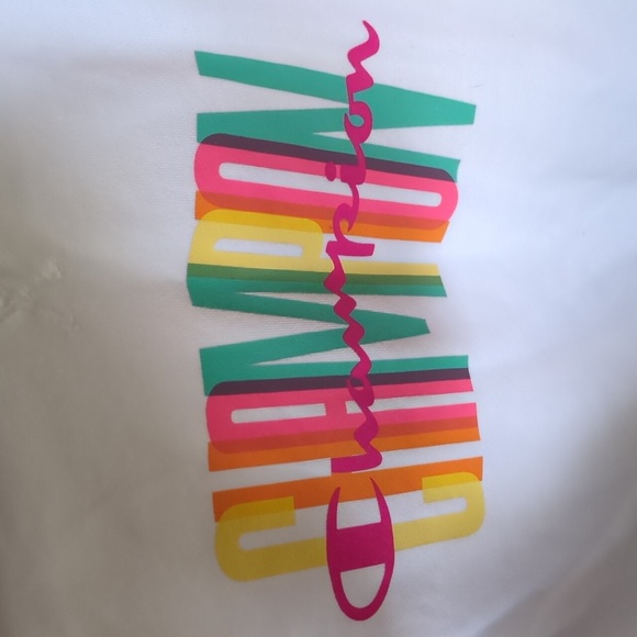 Champion Colorblock Sweatshirt - Picture 2 of 6